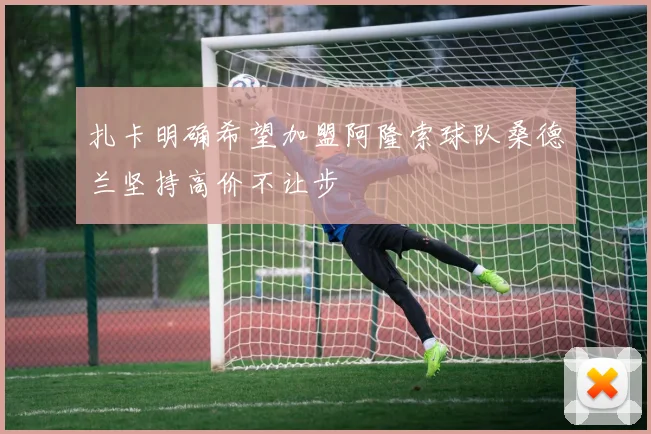 扎卡明确希望加盟阿隆索球队桑德兰坚持高价不让步