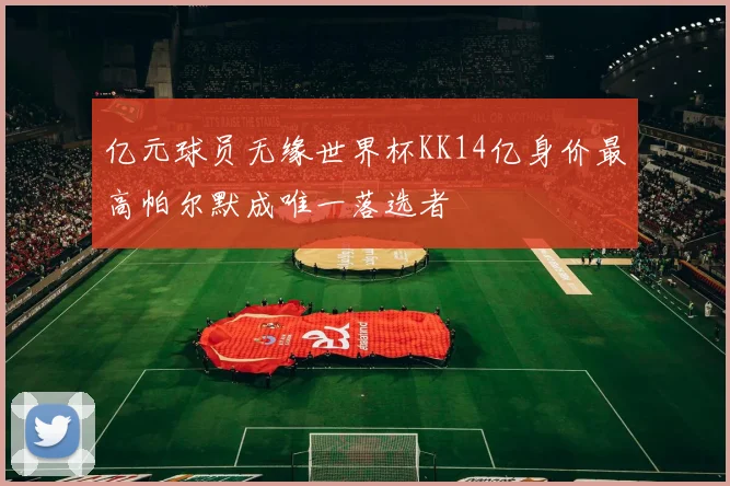 亿元球员无缘世界杯KK14亿身价最高帕尔默成唯一落选者